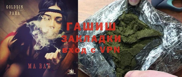 прущие грибы Балахна